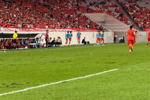 记者：西安这个草坪从美国进口的，奈何西安连日高温后又连日阴雨